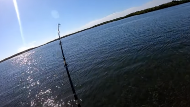 fishing