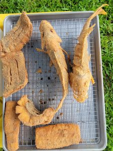food pictures