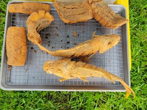 food pictures